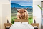 Behang - Fotobehang Schotse hooglander - Koe - Natuur - Berg - Gras - Breedte 160 cm x hoogte 220 cm