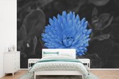 Papier peint - Papiers Papier peint photo Fleurs - Zwart - Wit - Blauw - Largeur 330 cm x Hauteur 220 cm
