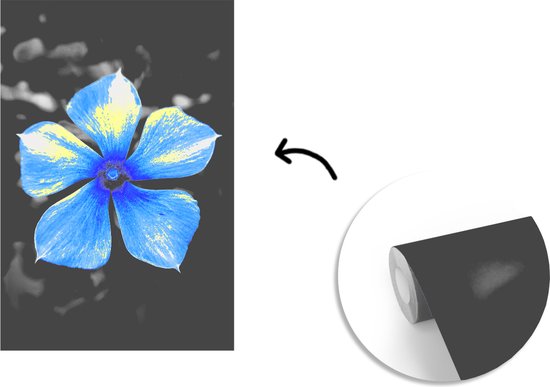 Papier peint - Papiers Papier peint photo Fleurs - Blauw - Zwart - Wit - Largeur 225 cm x hauteur 350 cm