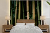 Behang - Fotobehang Bamboe in de nacht - Breedte 260 cm x hoogte 260 cm