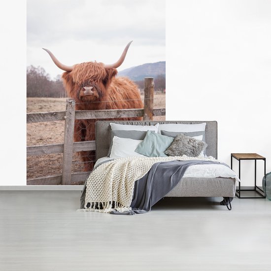 Behang - Fotobehang Schotse Hooglander - Gras - Hek - Breedte 160 cm x hoogte 220 cm
