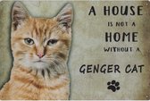 Wandbord Katten - A House Is Not A Home Without A Genger Cat