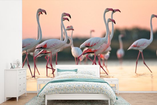 Flamants roses au coucher du soleil 330x220 cm