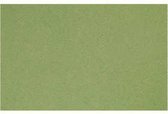 Frans karton - Apple Green - A4 - 21x29,7cm - 160 grams - Creotime - 1 vel