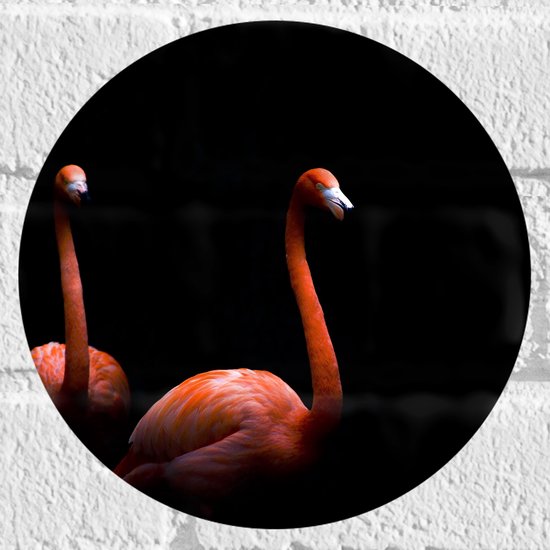 WallClassics - Muursticker Cirkel - Twee Flamingo's tegen Zwarte Achtergrond - 20x20 cm Foto op Muursticker