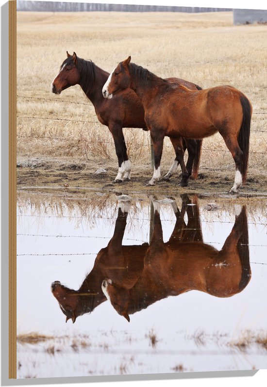 Hout - Duo Paarden met Weerspiegeling in Water - 60x90 cm - 9 mm dik - Foto op Hout (Met Ophangsysteem)