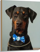 WallClassics - Hout - Hond met Blauwe Strik - 75x100 cm - 9 mm dik - Foto op Hout (Met Ophangsysteem)