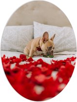 WallClassics - PVC Schuimplaat Ovaal - Hondje op Bed met Rode Rozenblaadjes - Franse Buldog - 60x80 cm Foto op Ovaal (Met Ophangsysteem)