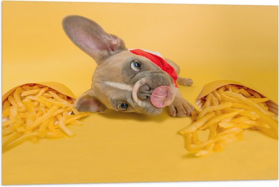 WallClassics - Drapeau - Chien entre frites avec fond jaune - Photo 75x50 cm sur drapeau polyester