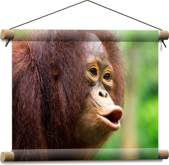 Textielposter - Fluitende Rood-Bruine Orang Oetan in Regenwoud - 40x30 cm Foto op Textiel