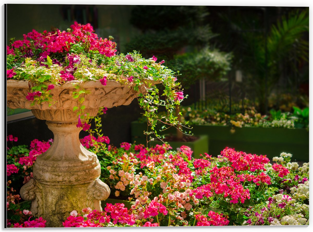 Dibond - Felroze Bloemen uit Fontein - 40x30 cm Foto op Aluminium (Met Ophangsysteem)