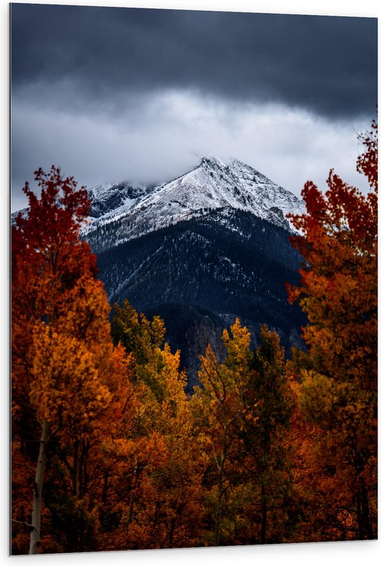 WallClassics - Dibond - Witte Besneeuwde Bergtop door Herfstkleurig Bos - 80x120 cm Foto op Aluminium (Met Ophangsysteem)