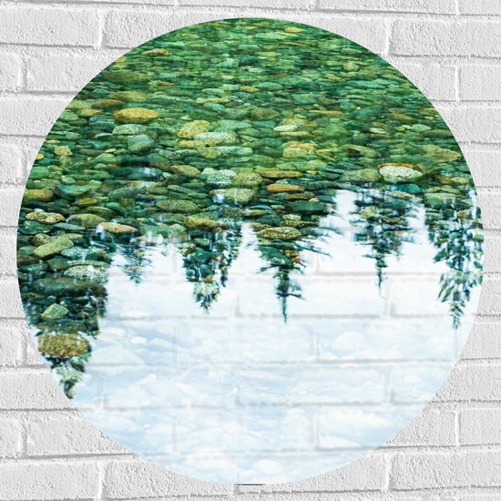 Muursticker Cirkel - Stenen in het Water weerspiegelende Bomen - 80x80 cm Foto op Muursticker