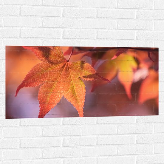 Muursticker - Oranje Herfstbladeren - 100x50 cm Foto op Muursticker