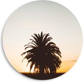 WallClassics - PVC Schuimplaat Muurcirkel - Silhouet van Palmboom met Lange Bladeren - 40x40 cm Foto op Muurcirkel (met ophangsysteem)