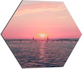 Dibond Hexagon - Roze Zonsondergang aan Zee met Meeuwen - 50x43.5 cm Foto op Hexagon (Met Ophangsysteem)