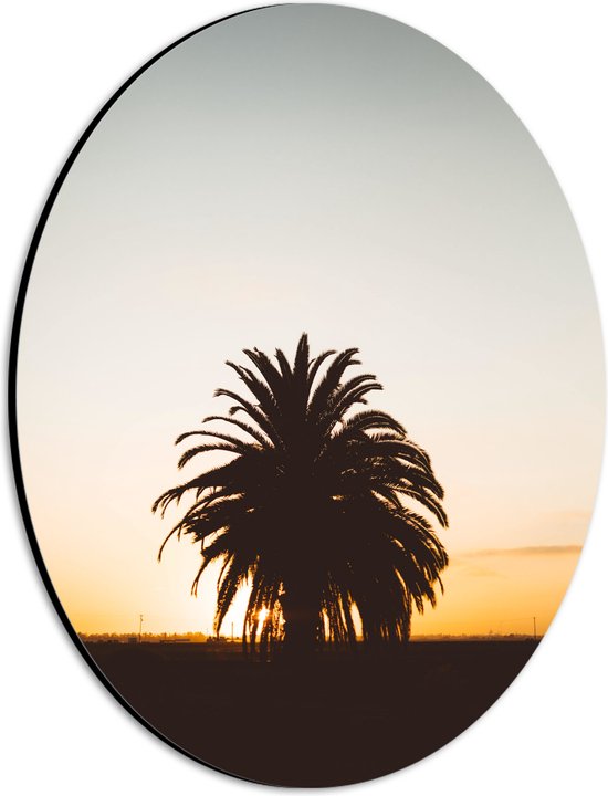 WallClassics - Dibond Ovaal - Silhouet van Palmboom met Lange Bladeren - 21x28 cm Foto op Ovaal (Met Ophangsysteem)