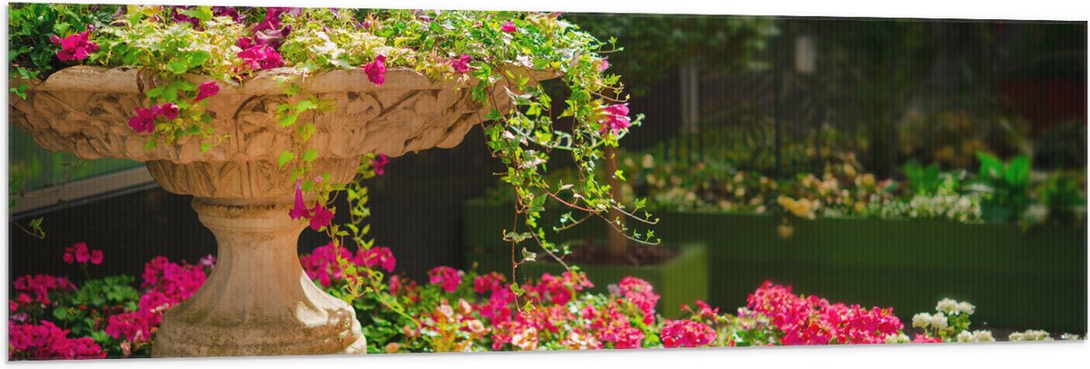 Vlag - Felroze Bloemen uit Fontein - 150x50 cm Foto op Polyester Vlag
