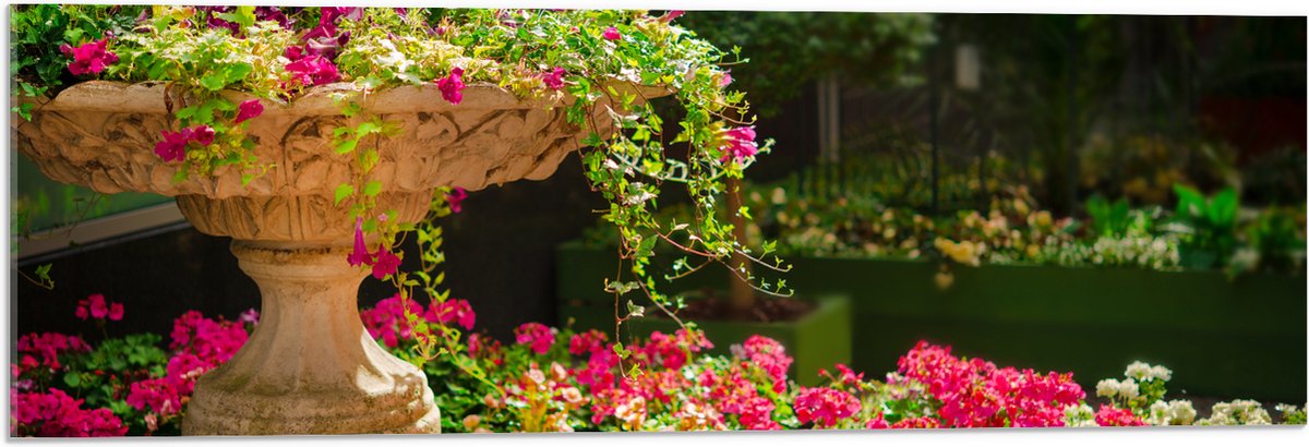 Acrylglas - Felroze Bloemen uit Fontein - 90x30 cm Foto op Acrylglas (Met Ophangsysteem)