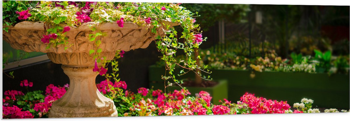 PVC Schuimplaat - Felroze Bloemen uit Fontein - 150x50 cm Foto op PVC Schuimplaat (Met Oph