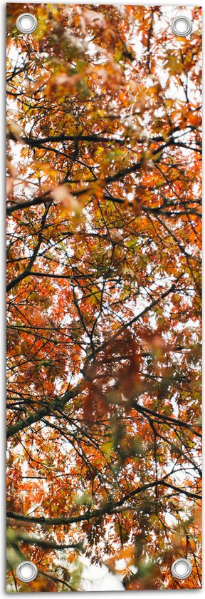 Tuinposter – Herfst Bladeren in een Boom - 20x60 cm Foto op Tuinposter (wanddecoratie voor buiten en binnen)