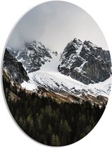 WallClassics - Panneau de mousse PVC ovale - Montagnes enneigées derrière la forêt - 42x56 cm Photo sur ovale (avec système de suspension)