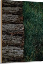WallClassics - Hout - Houten Pad langs Grasveld - 80x120 cm - 12 mm dik - Foto op Hout (Met Ophangsysteem)