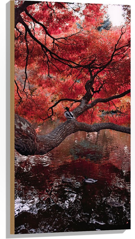 WallClassics - Hout - Rode Herfstboom hangend over Water - 50x100 cm - 12 mm dik - Foto op Hout (Met Ophangsysteem)