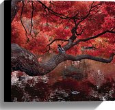 WallClassics - Canvas  - Rode Herfstboom hangend over Water - 30x30 cm Foto op Canvas Schilderij (Wanddecoratie op Canvas)