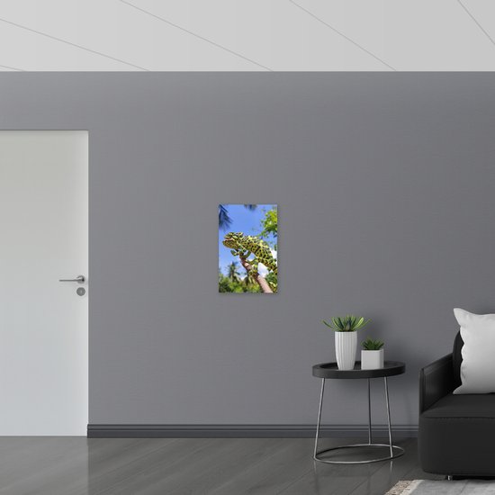 WallClassics - Verre acrylique - Chamaeleokameleon - Photo 40x60 cm sur verre acrylique (Décoration murale sur acrylique)