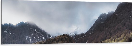 WallClassics - Dibond - Wolken bij Bergen en Bos - 150x50 cm Foto op Aluminium (Met Ophangsysteem)