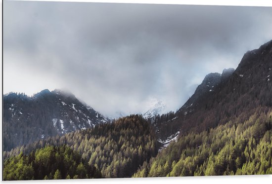 WallClassics - Dibond - Wolken bij Bergen en Bos - 105x70 cm Foto op Aluminium (Wanddecoratie van metaal)