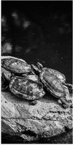 Poster (Mat) - Groep Kleine Schildpadden op Rots in het Water (Zwart- wit) - 50x100 cm Foto op Posterpapier met een Matte look