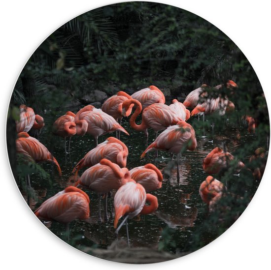 PVC Schuimplaat Muurcirkel - Groep Flamingo's in het Water tussen Bomen en Planten - 60x60 cm Foto op Muurcirkel (met ophangsysteem)