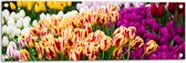 Tuinposter – Bloemenveld met Oranje, Roze en Paarse Tulpen - 90x30 cm Foto op Tuinposter (wanddecoratie voor buiten en binnen)
