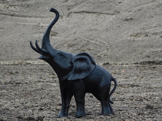 Sculptuur olifant - zwart - aluminium