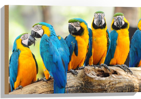 Muurstickers - Sticker Folie - Twee blauwe koppen koffie op een houten tafel - 60x40