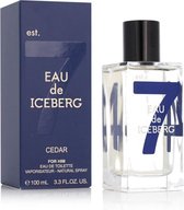 Herenparfum Iceberg EDT 100 ml Eau De Iceberg Cedar