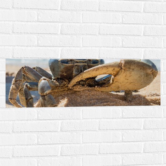 Muursticker - Bruinkleurige Krab in het Zand op het Strand - 90x30 cm Foto op Muursticker