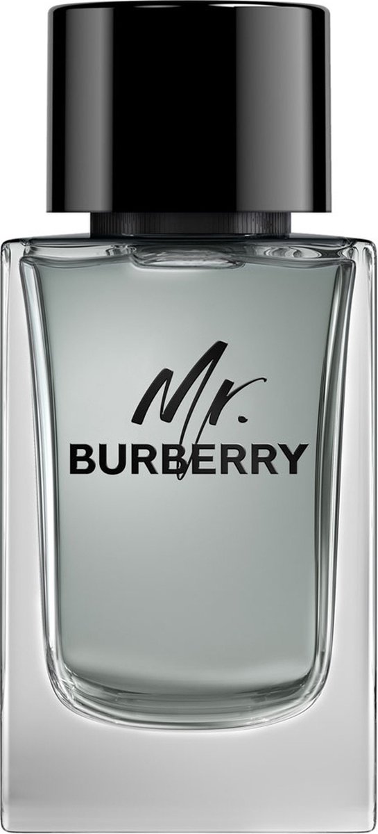 Goedkoopste Burberry Mr. Burberry Eau de Toilette Spray 150 ml
