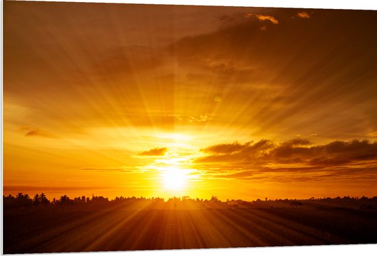 PVC Schuimplaat- Felle Zonsondergang aan de Horizon achter Bomen - 120x80 cm Foto op PVC Schuimplaat