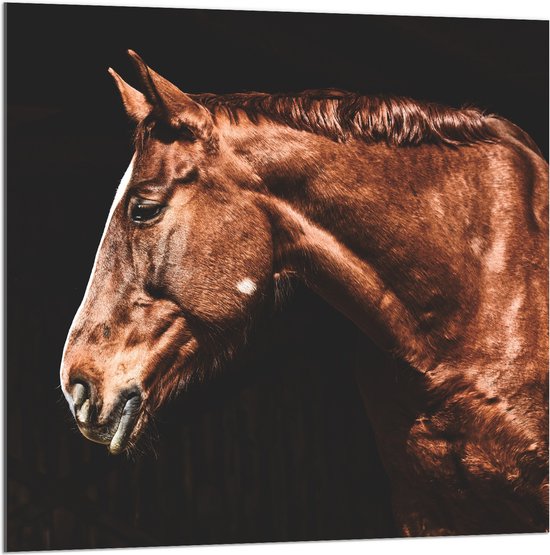 WallClassics - Acrylglas - Zijaanzicht van Bruin Paard - 100x100 cm Foto op Acrylglas (Wanddecoratie op Acrylaat)