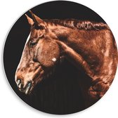 WallClassics - Cercle mural en panneau de mousse PVC - Vue latérale du cheval brun - Photo 30x30 cm sur cercle mural (avec système de suspension)
