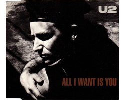 All I Want Is You