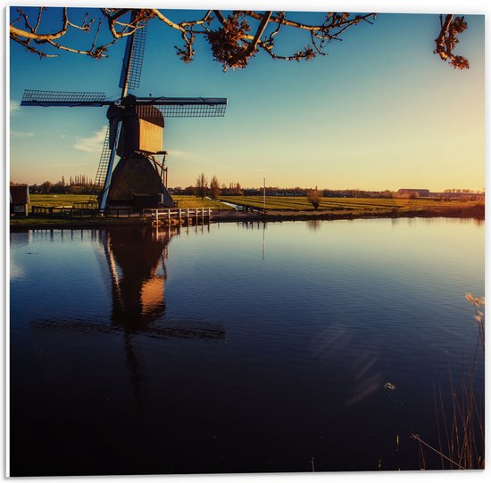 PVC Schuimplaat - Klassiek Bruine Molen aan het Water in Weiland in Nederland - 50x50 cm Foto op PVC Schuimplaat (Met Ophangsysteem)