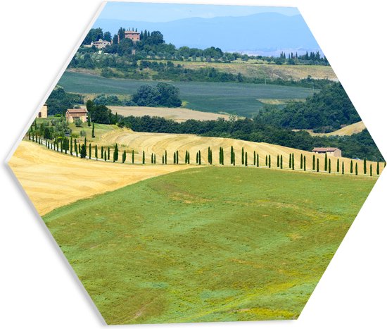 PVC Schuimplaat Hexagon - Heuvelachtig Zomers Landschap met Traditionele0 Gebouwen - 40x34.8 cm Foto op Hexagon (Met Ophangsysteem)