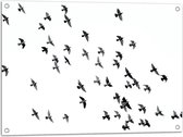 WallClassics - Tuinposter – Zwerm Vogels - 80x60 cm Foto op Tuinposter (wanddecoratie voor buiten en binnen)