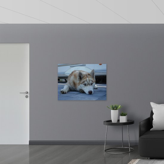 WallClassics - Hout - Liggende Bruine Husky op Stenen - 100x75 cm - 9 mm dik - Foto op Hout (Met Ophangsysteem)