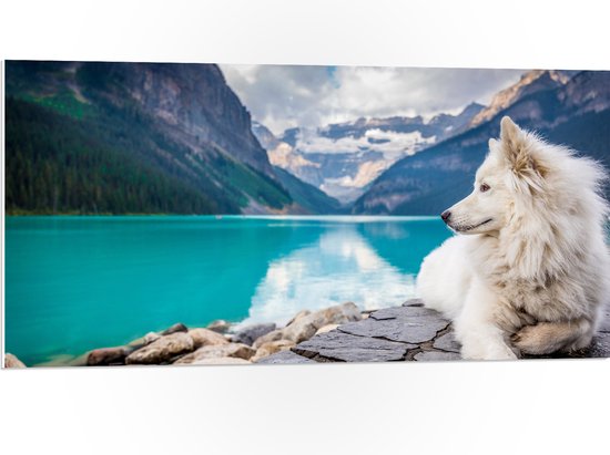 WallClassics - PVC Schuimplaat - Witte Hond liggend bij Bergen en Water - Samojeed - 100x50 cm Foto op PVC Schuimplaat (Met Ophangsysteem)
