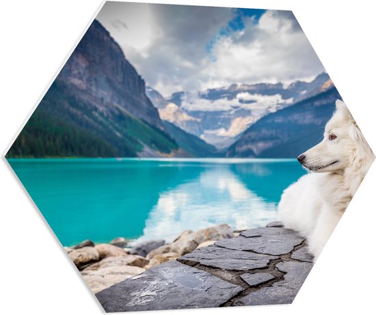 WallClassics - PVC Schuimplaat Hexagon - Witte Hond liggend bij Bergen en Water - Samojeed - 70x60.9 cm Foto op Hexagon (Met Ophangsysteem)